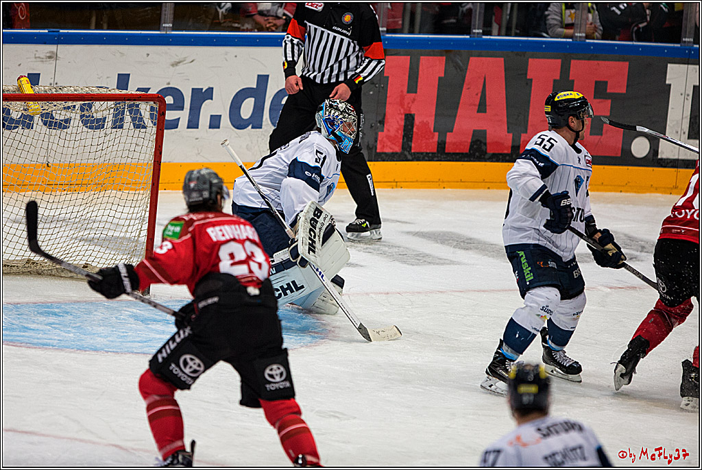 DEL, Koelner Haie - ERC Ingolstadt, 20.01.2017